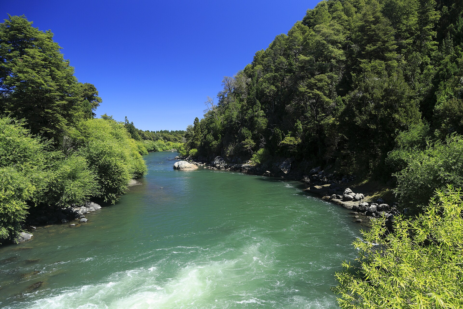 Mirador de Peces: el sendero de las truchas cerca de Pucón